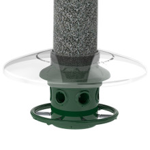 Squirrel Buster Plus Weather Guard