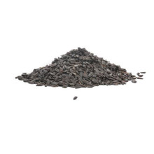 Black Oil Sunflowers
