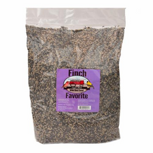 Finch Favorite