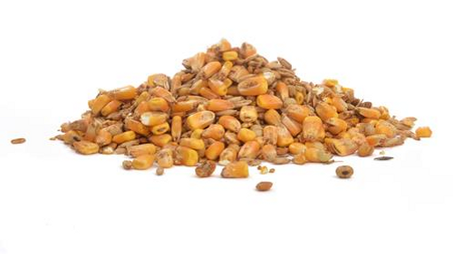 Deer Feed