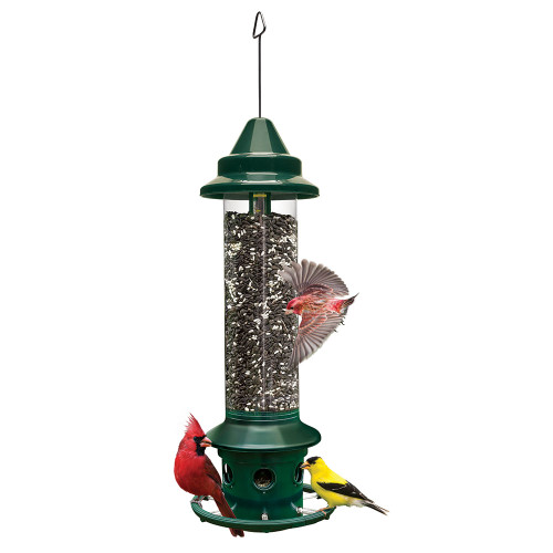 Squirrel Buster Plus