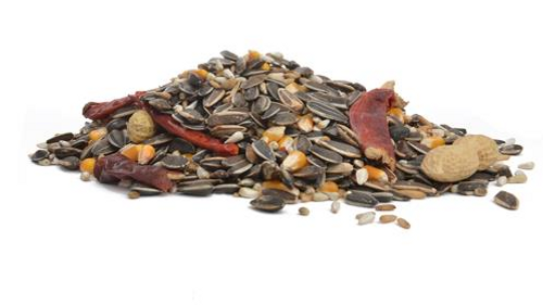Economy Parrot Food