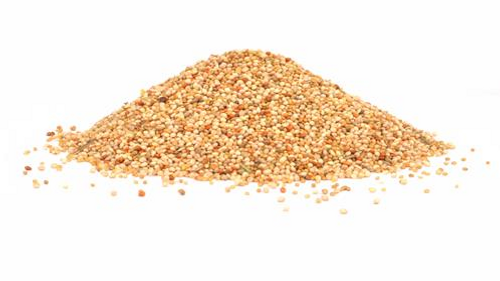Economy Finch Food