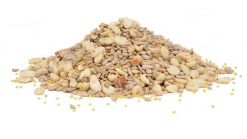 Shell Free Medley