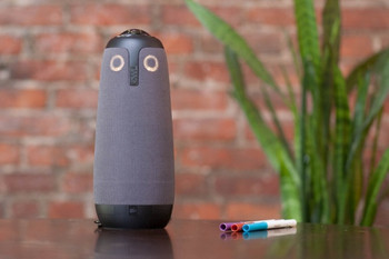 Meeting Owl on Table Meeting Owl on Table