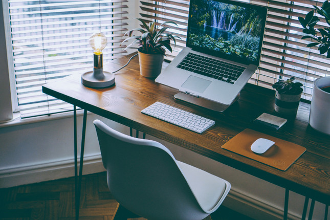 Who is Using Videoconferencing?