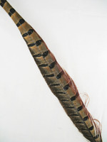 Pheasant Tail Feathers, RING-NECKED, 20-25 inch Pheasant Tail Feathers, RING-NECKED, 20-25 inch