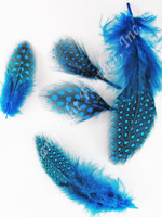 Guinea PLUMAGE loose Turquoise per half ounce Guinea PLUMAGE loose Turquoise per half ounce