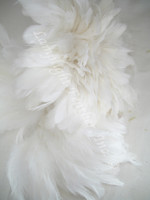 Rooster Feathers Schlappen, short, White, 3-5 inch, per FOOT Rooster Feathers Schlappen, short, White, 3-5 inch, per FOOT