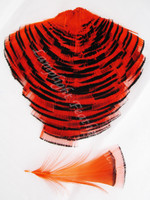 TIPPET CAPE, GoldEN Pheasant, dyed Orange, per Each TIPPET CAPE, GoldEN Pheasant, dyed Orange, per Each