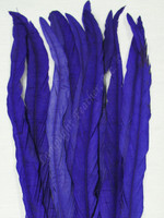 Coque, 15-18 inch, Purple, per DOZEN Coque, 15-18 inch, Purple, per DOZEN