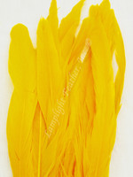 Gold Coque Rooster Tail Feathers 10-12 inch per Ounce Gold Coque Rooster Tail Feathers 10-12 inch per Ounce