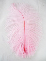 Light Pink Ostrich Feather Light Pink Ostrich Feather
