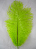 Lime Ostrich Feathers Lime Ostrich Feathers
