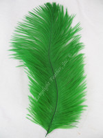Green Mini Ostrich Feathers 5-8 Inch per Dozen Green Mini Ostrich Feathers 5-8 Inch per Dozen