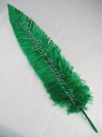 OSTRICH NANDU, LONG, Green 16-19 inch per Each OSTRICH NANDU, LONG, Green 16-19 inch per Each