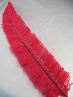 OSTRICH NANDU, LONG, Red 16-19 inch per Each OSTRICH NANDU, LONG, Red 16-19 inch per Each