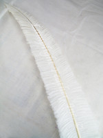 OSTRICH NANDU, SHORT, White 8-12 inch per Each OSTRICH NANDU, SHORT, White 8-12 inch per Each