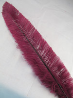 OSTRICH NANDU, SHORT, Burgundy 8-12 inch per Each OSTRICH NANDU, SHORT, Burgundy 8-12 inch per Each