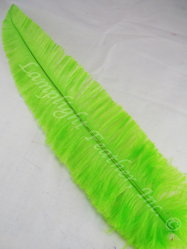 OSTRICH NANDU, STANDARD, lime 12-16 inch per Each