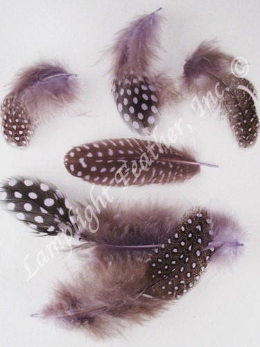 Guinea PLUMAGE loose pale Lavender per half ounce