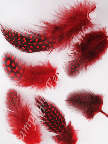 Guinea Plumage Craft Feathers Red per half ounce