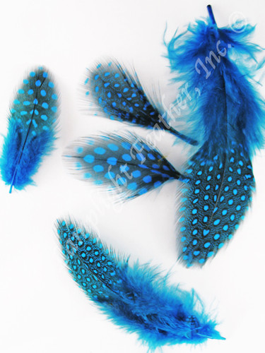 Guinea PLUMAGE loose Turquoise per half ounce