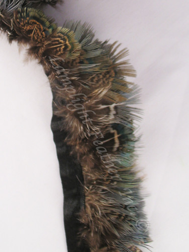 Pheasant plumage Green almonds