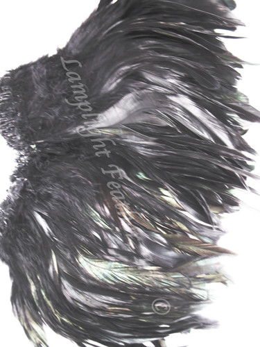 ROOSTER Rooster Feathers Schlappenstrung, 7-9 inch Black per foot