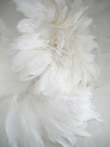 Rooster Feathers Schlappen, short, White, 3-5 inch, per FOOT