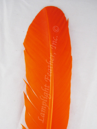Turkey Feathers, wing rounds, dyed Orange, per DOZEN