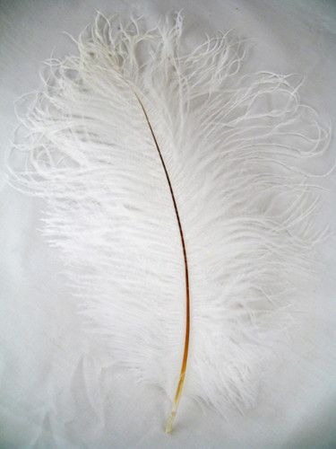 White Ostrich Feathers