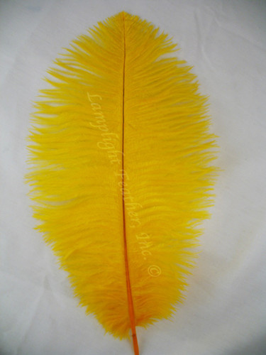 Gold Ostrich Feathers 8-12 inch size per Each