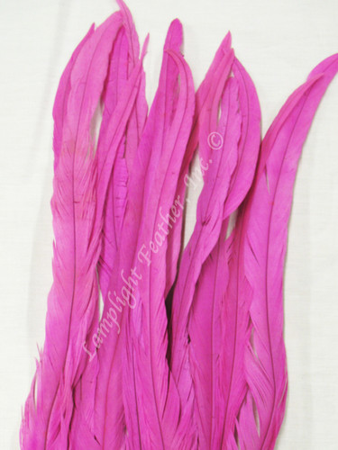 Coque, 13-16 inches, Fuchsia, per DOZEN