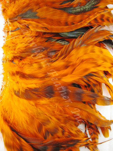 COQUE, CHINCHILLA, Orange, 5-8 inch per 6"