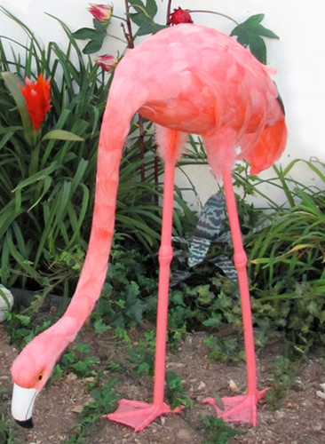 Flamingo Decorative Artificial Bird, HEAD DOWN, EXTRA LARGE, 27 inches tall, per 1 flamingo