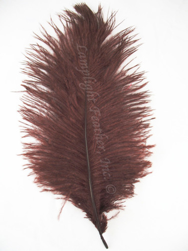 Brown Ostrich feather, long ostrich feather
