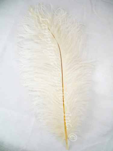 Ivory Ostrich feather, long ostrich feather