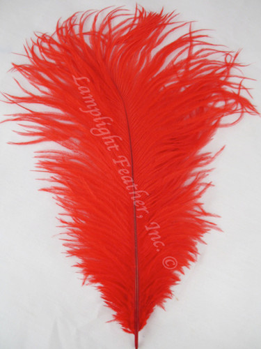Red Ostrich feather, long ostrich feather