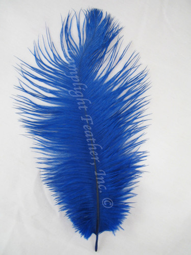 Royal Blue Ostrich Feathers