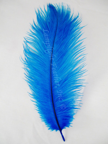 Turquoise Ostrich Feathers