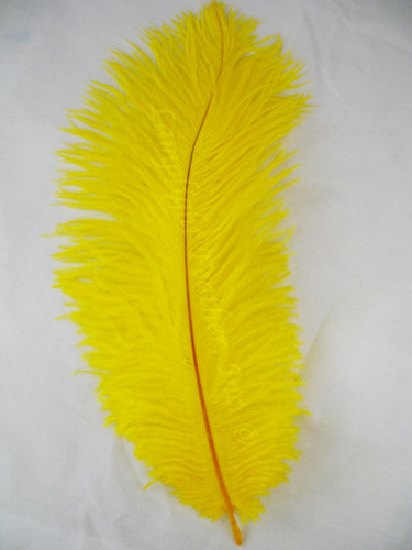 Yellow Ostrich Feathers