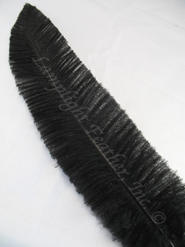 OSTRICH NANDU, LONG, Black 16-19 inch, per Each Each