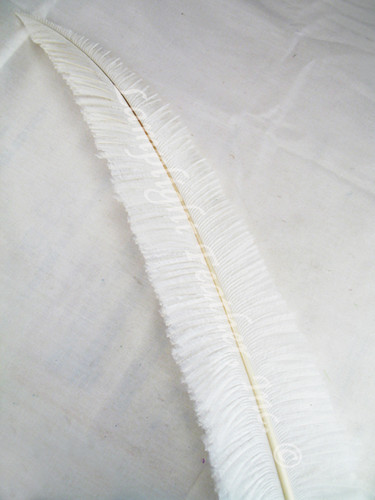 OSTRICH NANDU, LONG, White 16-19 inch per Each