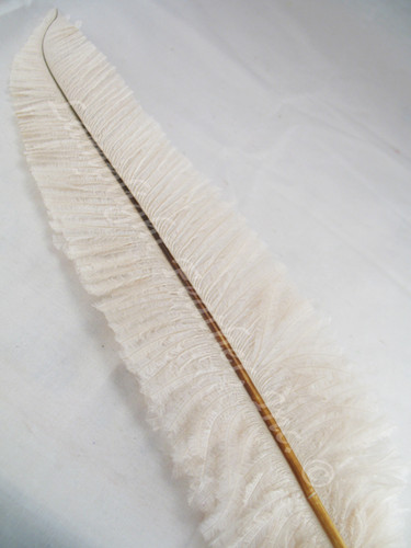 OSTRICH NANDU, LONG, Ivory 16-19 inch per Each