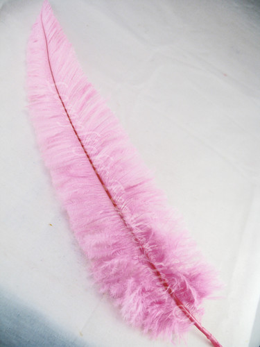 OSTRICH NANDU, LONG, Light Pink 16-19 inch per Each