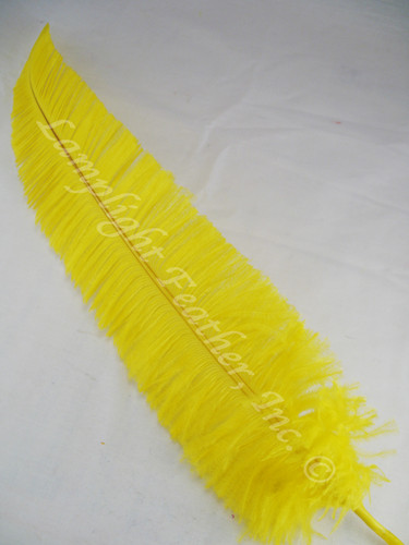 OSTRICH NANDU, LONG, Yellow 16-19 inch per Each