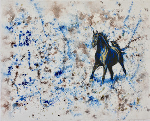 Blue and Brown Series: Black Stallion