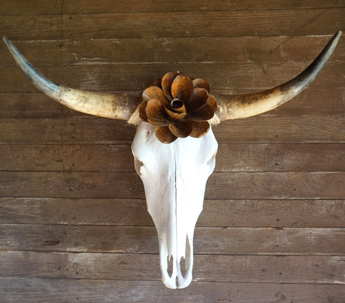 Toro Blanco Cow Skull