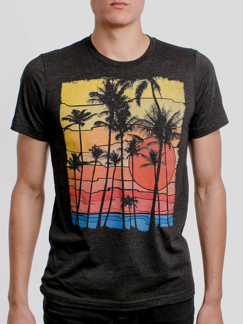 The Beach - Multicolor on Heather Black Triblend Mens T Shirt ...